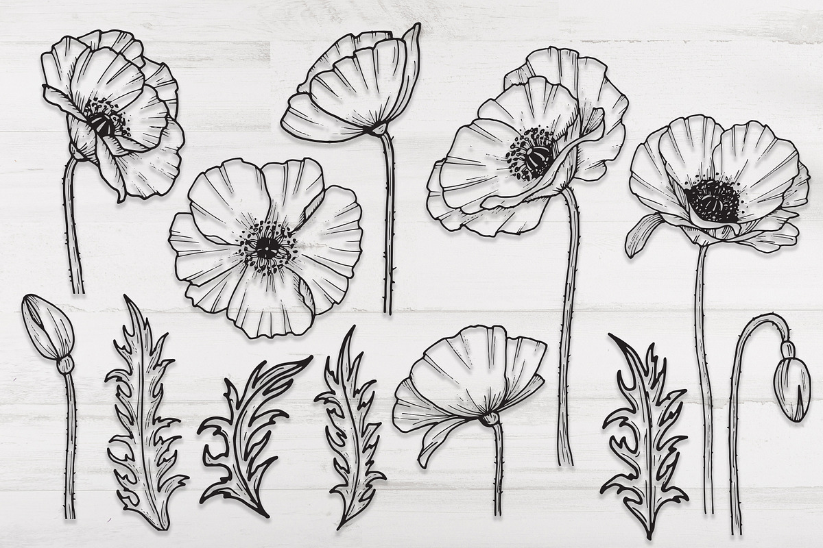 BUNDLE 9 Line Art Collections, a Decorative Illustration by Dervik Art ...