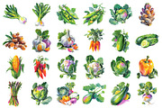Watercolor Vegetable Clipart Set, an Illustration by Daily.Designs (Thumbnail 2 of 3)