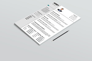 Resume Template-V041