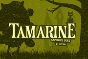Tamarine: A Classic Cartoon Nostalgi, a Serif Font by RT Studio (Thumbnail 1 of 7)