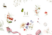 Eva | Botanical set | 200+ images, an Illustration by Karma (Thumbnail 28 of 32)