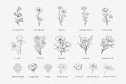 Floral clipart and monograms, vector, an Illustration by harmonia_green_art (Thumbnail 5 of 16)