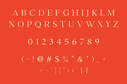Jerson - Modern Serif Typeface, a Serif Font by Font Kingdom (Thumbnail 5 of 5)