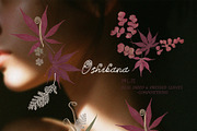 Oshibana Dried & Pressed Fall Leaves, an Object Graphic by Lana Elanor (Thumbnail 5 of 17)