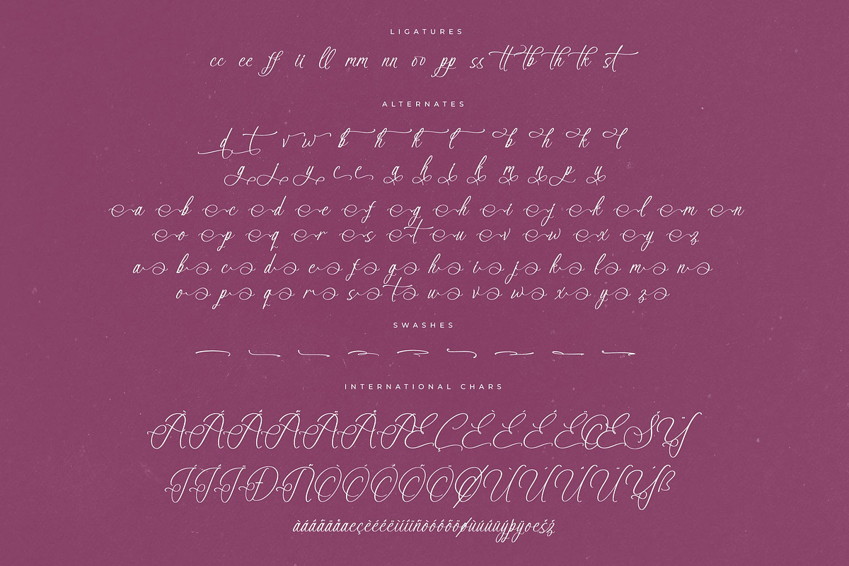 Anastasia Boutiques Beauty Script, a Script Font by Letterena Studios Script (Photo 14 of 15)