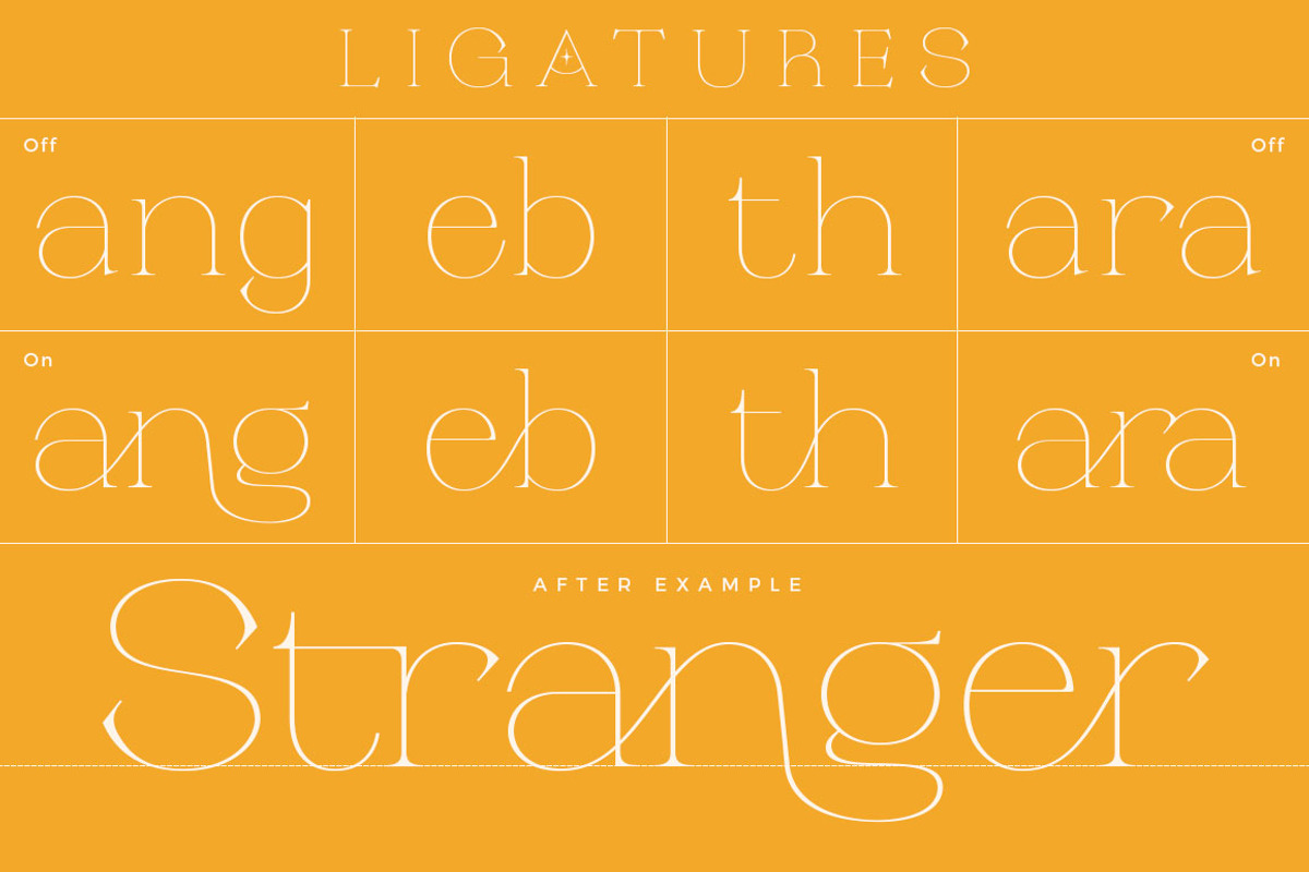 Religan - Modern Serif Font, a Serif Font by Dora Typefoundry (Photo 12 of 22)