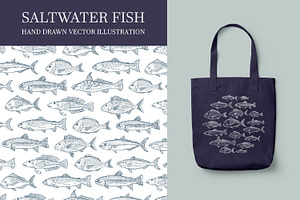 Hand drawn vectors of saltwater fish