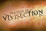 Jean Splice, a Serif Font by Cool Fonts (Thumbnail 5 of 7)