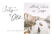Collection - NEW STYLE, a Script Font by alphArtype (Thumbnail 11 of 16)