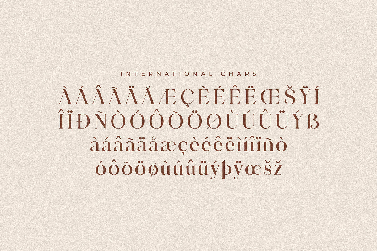 Adorage Modern Ligature Typeface, a Serif Font by Storytype Studio (Photo 14 of 15)