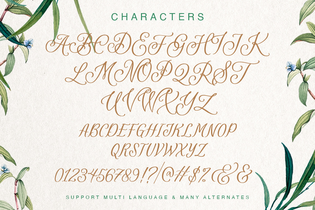 Revisella Typeface, a Script Font by Letterhend Studio (Photo 8 of 9)