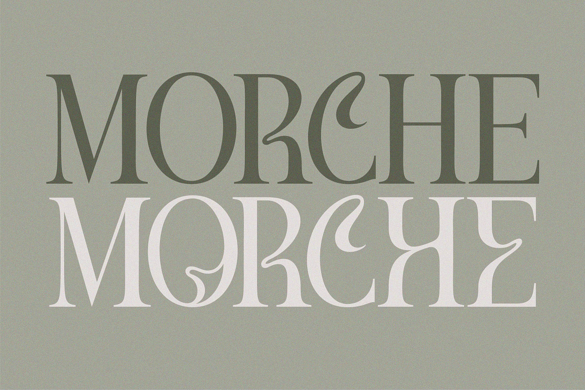 Meghan, a Serif Font by Flawless And Co (Photo 9 of 9)