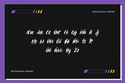 Shuttles - Elegant Brush Font, a Script Font by RockboyStd (Thumbnail 10 of 12)