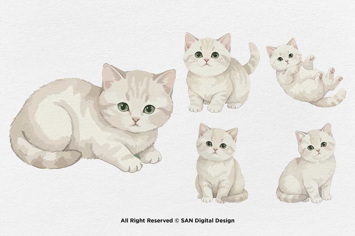 15 Bundle Watercolor White Kitten, an Animal Illustration by Morspective (Photo 6 of 8)