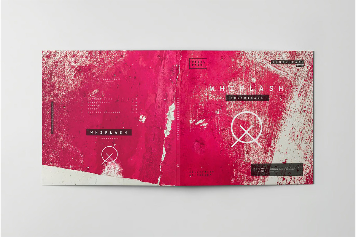 Vinyl Mock-up, a Product Mockup by zippypixelstudio (Photo 11 of 12)