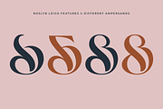 Roslyn Leigh - Display Serif, a Serif Font by 1871 Project (Thumbnail 11 of 17)