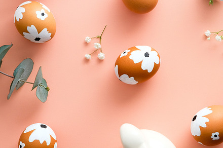 Flat lay Easter eggs, bunny, bird and flowers on color background., a Holiday Photo by photoguns