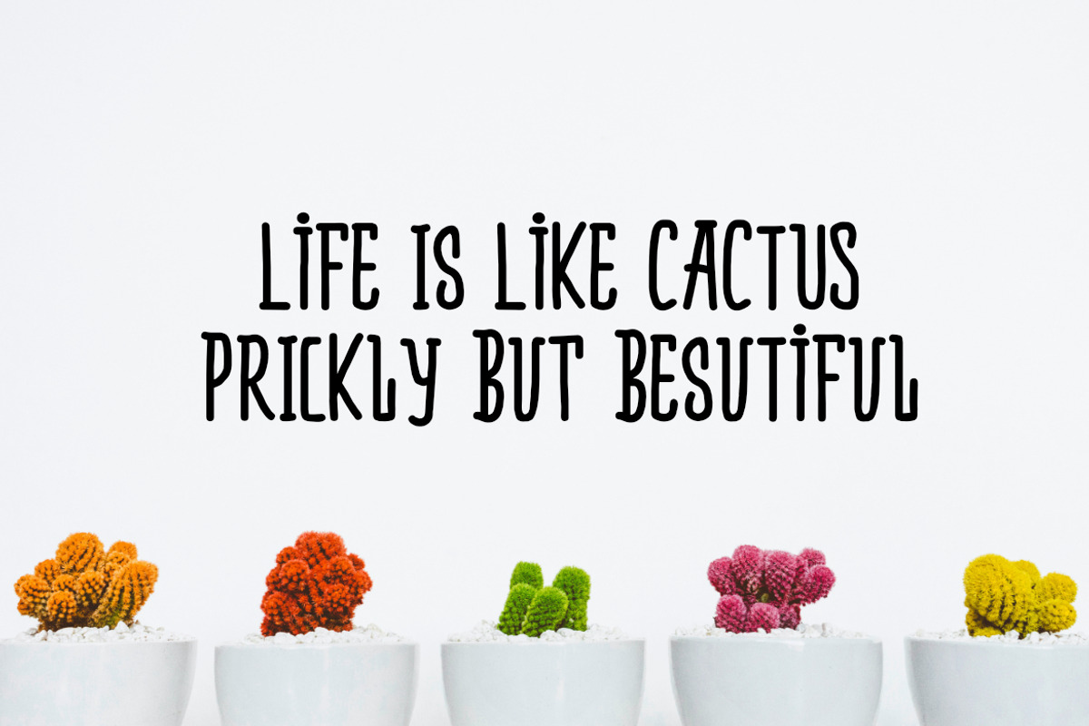 Bidara Font, a Serif Font by YandiDesigns (Photo 3 of 4)