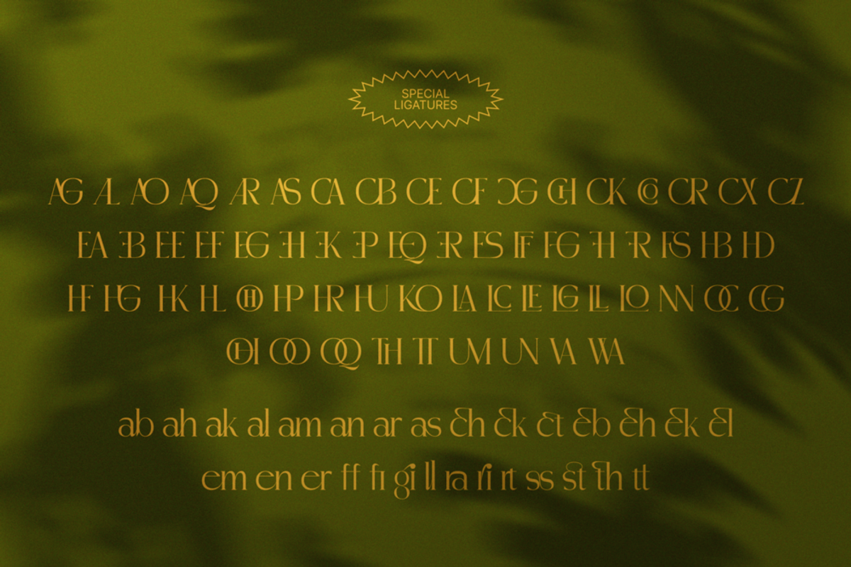 Madhik Bagimar — Elegant Luxury Font, a Serif Font by Enxyclo Studio (Photo 19 of 21)