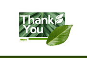 Leaf Logo Template Bundle, an Illustration by Tekuni (Thumbnail 10 of 10)