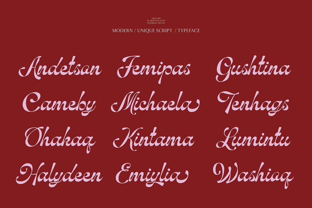 NCL Hubiny — Elegant Script, a Script Font by Enxyclo Studio (Photo 5 of 15)