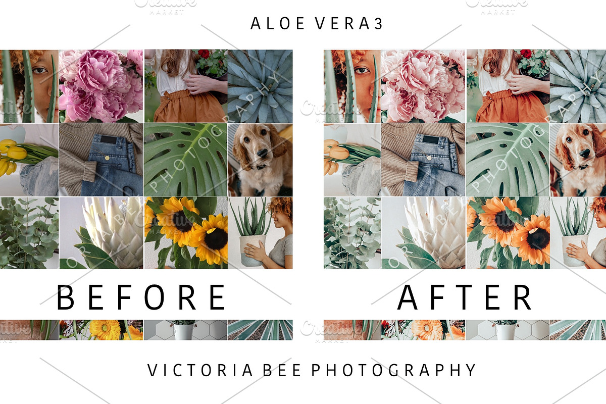 5 Mobile Presets ALOE VERA, an Action Add-On by Victoria Bee Presets (Photo 6 of 10)