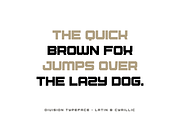 Division An Army Inspired Typefeace, a Sans Serif Font by alpercakici (Thumbnail 3 of 14)