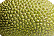 All Fruits Bundle Master Collection, a Food & Drink Photo by FlyeredTemplate (Thumbnail 130 of 130)