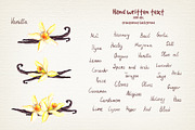 Herbs and spices watercolor clipart, a Food Illustration by Where summer is (Thumbnail 5 of 6)