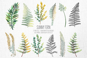 Sunny Fern Collection