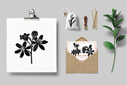Vintage botanica, an Object Graphic by Mii Lab (Thumbnail 6 of 8)