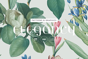 Elegancy Floral Pattern And Elements