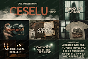 Ceselu - A Refined Luxury Serif, a Serif Font by Astuti Studio (Thumbnail 8 of 24)