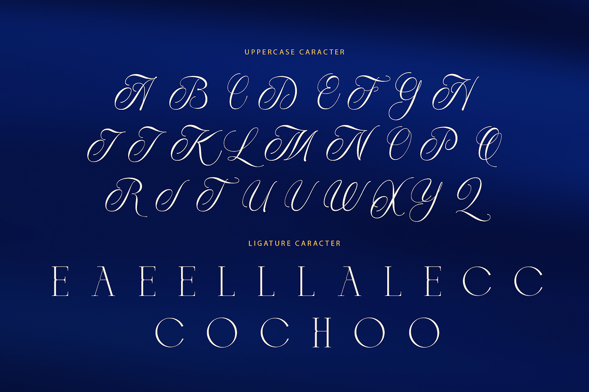 BlueMoon - Luxury Font, a Serif Font by Umitype (Photo 10 of 10)