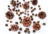 Deep Fall Bundle - Stock Photos, a Print Template by SunnyTangerine Stock (Thumbnail 10 of 12)