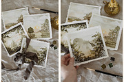 Vintage Forest. Watercolor clipart, an Animal Illustration by Ooh Lily (Thumbnail 16 of 22)