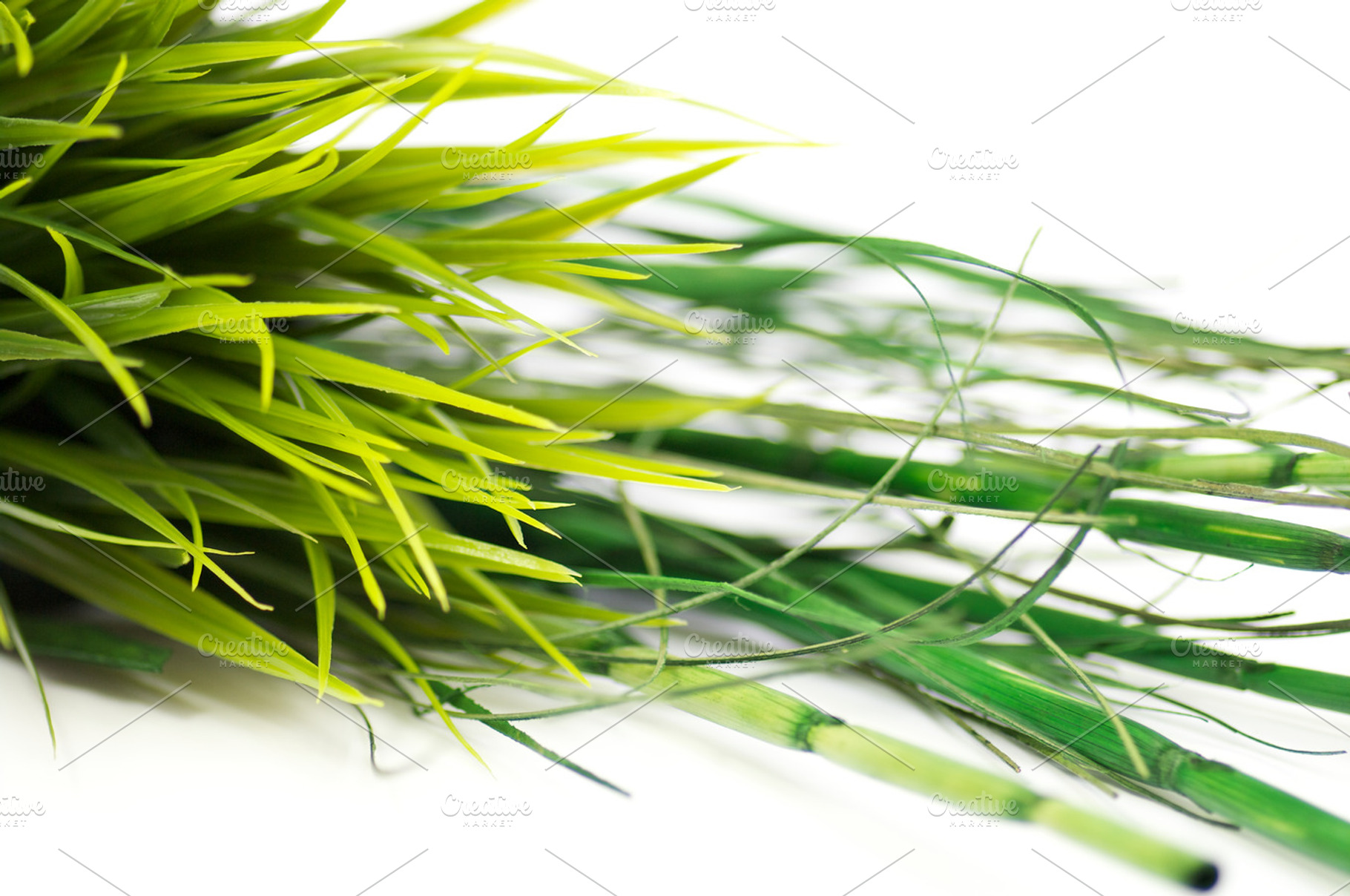 Grass and bamboo, a Nature Photo by zhekos
