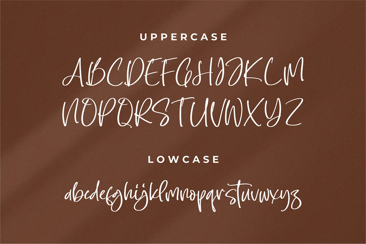 Sellaheby, a Script Font by Integritype Studio (Photo 7 of 15)