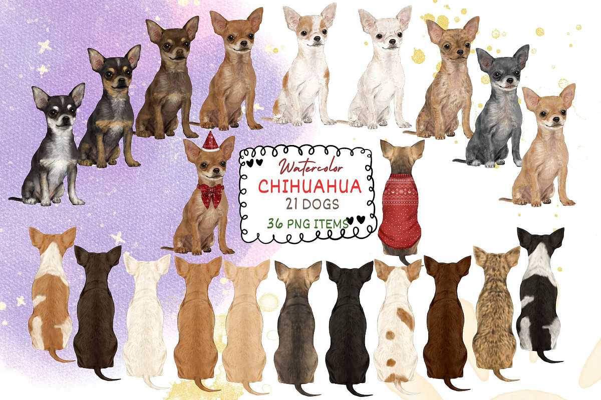 Watercolor Chihuauha png Clipart., an Animal Illustration by ColorfulPT (Photo 1 of 6)