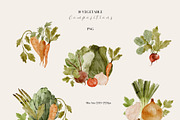 Watercolor Vegetables Collection, a Food Illustration by Jenteva Art (Thumbnail 3 of 15)