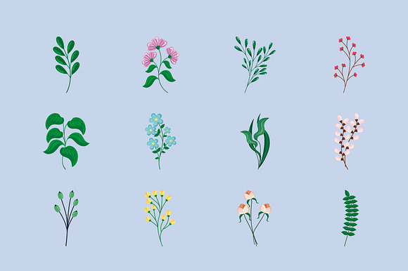 Flower Nature Illustration Set preview 2
