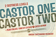 Castor Complete Family, a Sans Serif Font by Albatross (Thumbnail 3 of 5)
