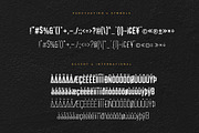 ALFANETA – Modern Branding Typeface, a Sans Serif Font by HypeWorksCo (Thumbnail 13 of 13)