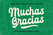 Merlight Bold Script, a Script Font by Letterhend Studio (Thumbnail 8 of 9)