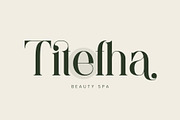 Faiten - Modern Serif Font, a Serif Font by Aqeel_Art (Thumbnail 3 of 12)