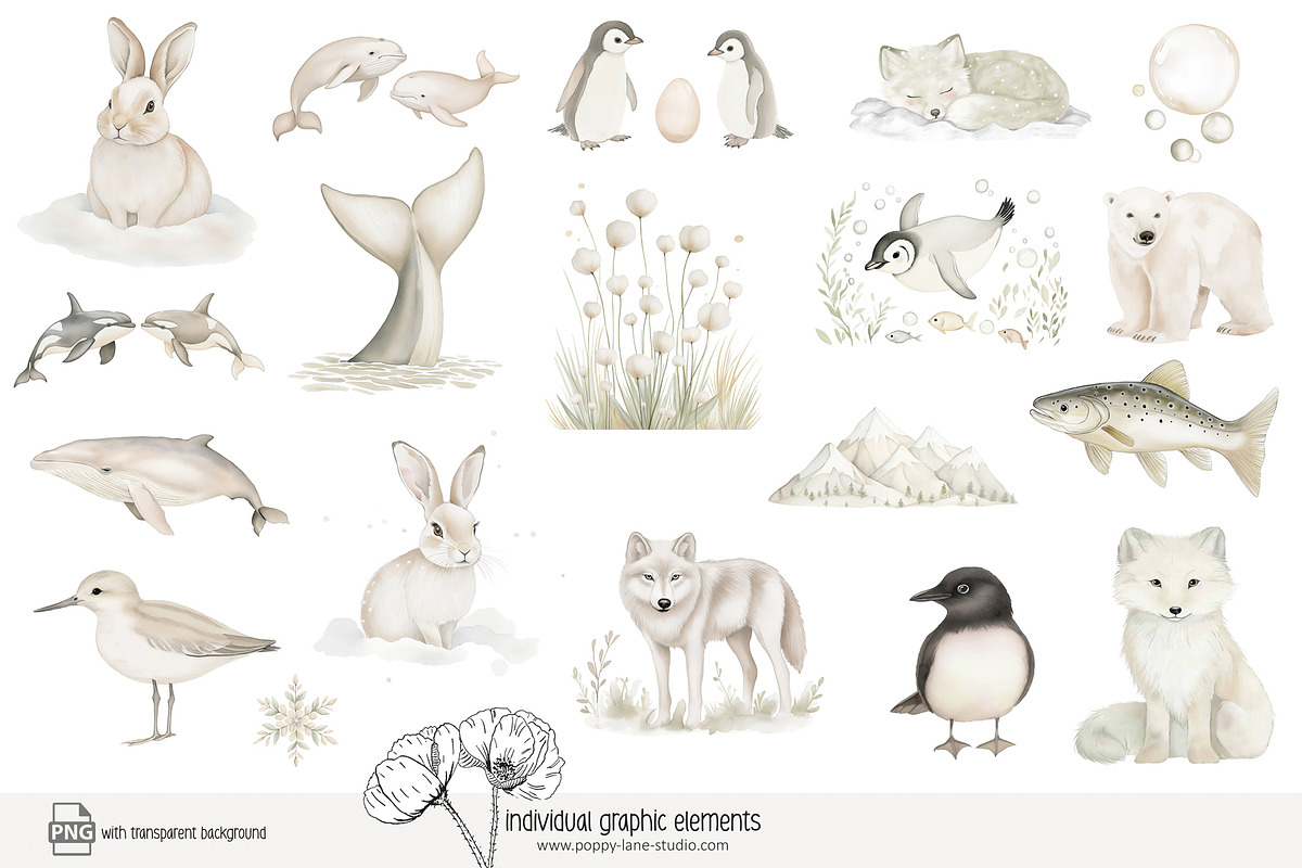 100 polar animal clip art, an Animal Illustration by Poppy Lane Studio (Photo 3 of 12)