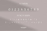 Mylanish _ unique modern typeface, a Serif Font by Penatic Studio (Thumbnail 10 of 11)