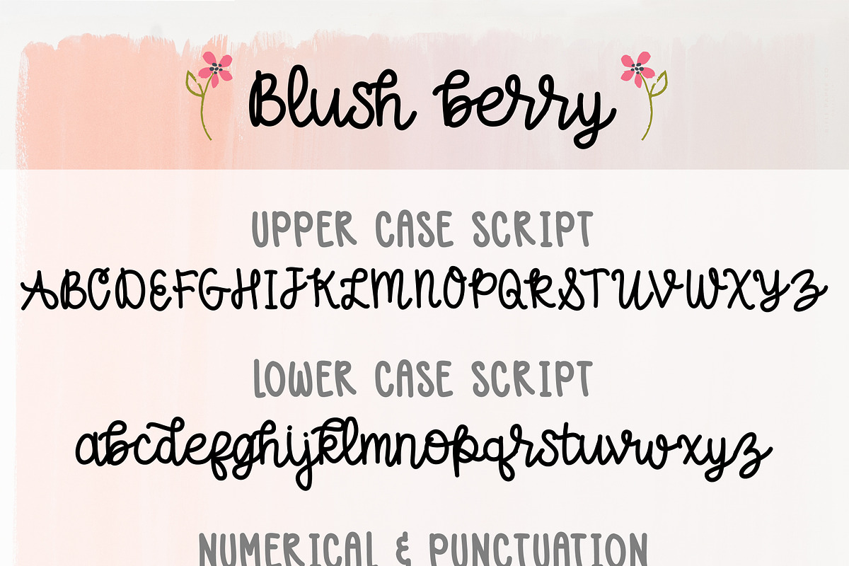Blush Berry Font Duo - Hand Lettered preview 5