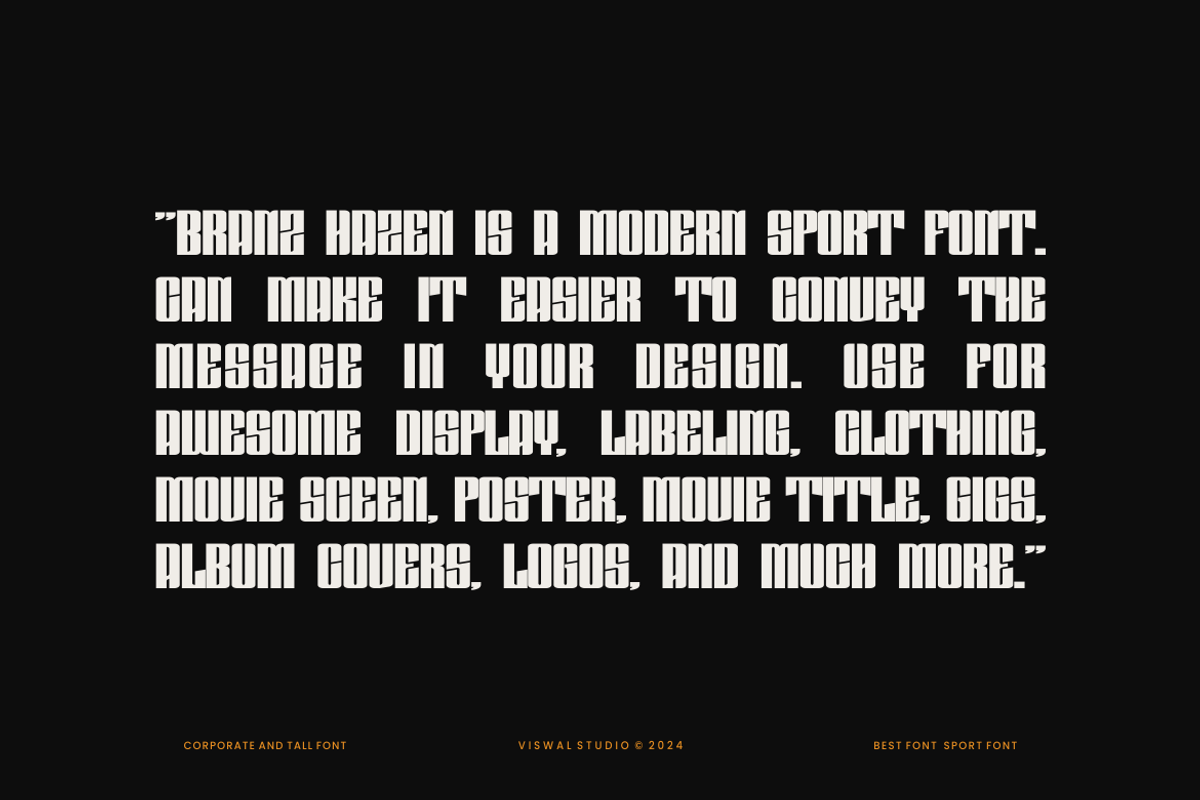 Branz Hazen - Modern Font, a Sans Serif Font by Viswal Studio (Photo 3 of 10)