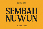 Broveld Serif – Editorial Serif, a Serif Font by Bentype Studio (Thumbnail 7 of 7)